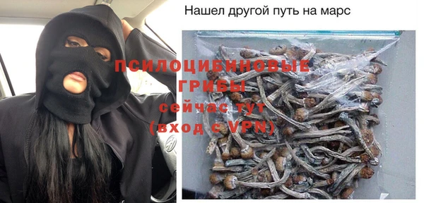 дурь Мурманск