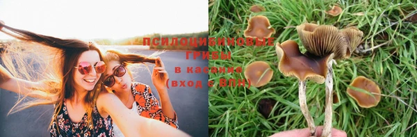 первитин Кулебаки